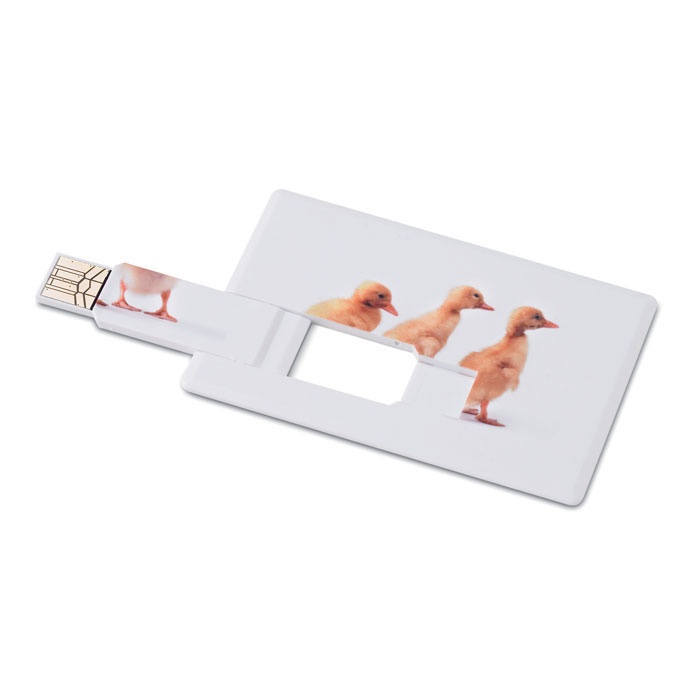 Logo trade promotional merchandise photo of: Creditcard. USB flash 32GB